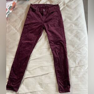 Free People Velvet Jeans